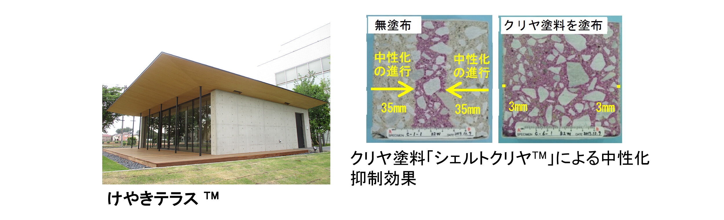 「シェルトクリヤ™」を塗った「クリーンクリート®」を採用した大林組の技術研究所のプレゼンテーション施設「けやきテラス™」の写真