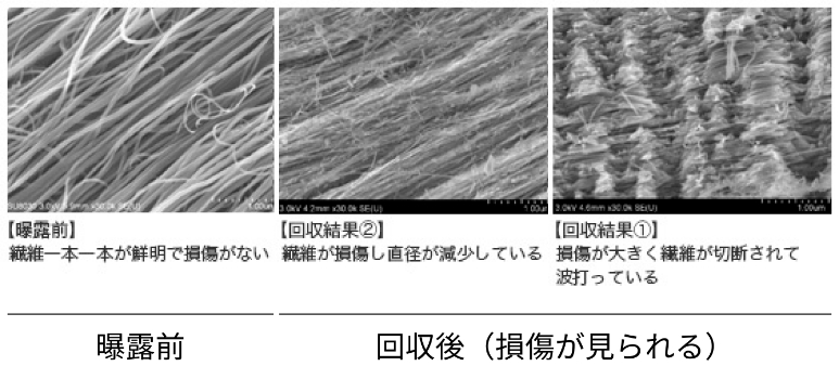 カーボンナノチューブ損傷の様子