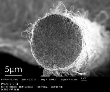 Gambar penampang tabung nano karbon (foto yang diambil dengan menggunakan mikroskop elektron)