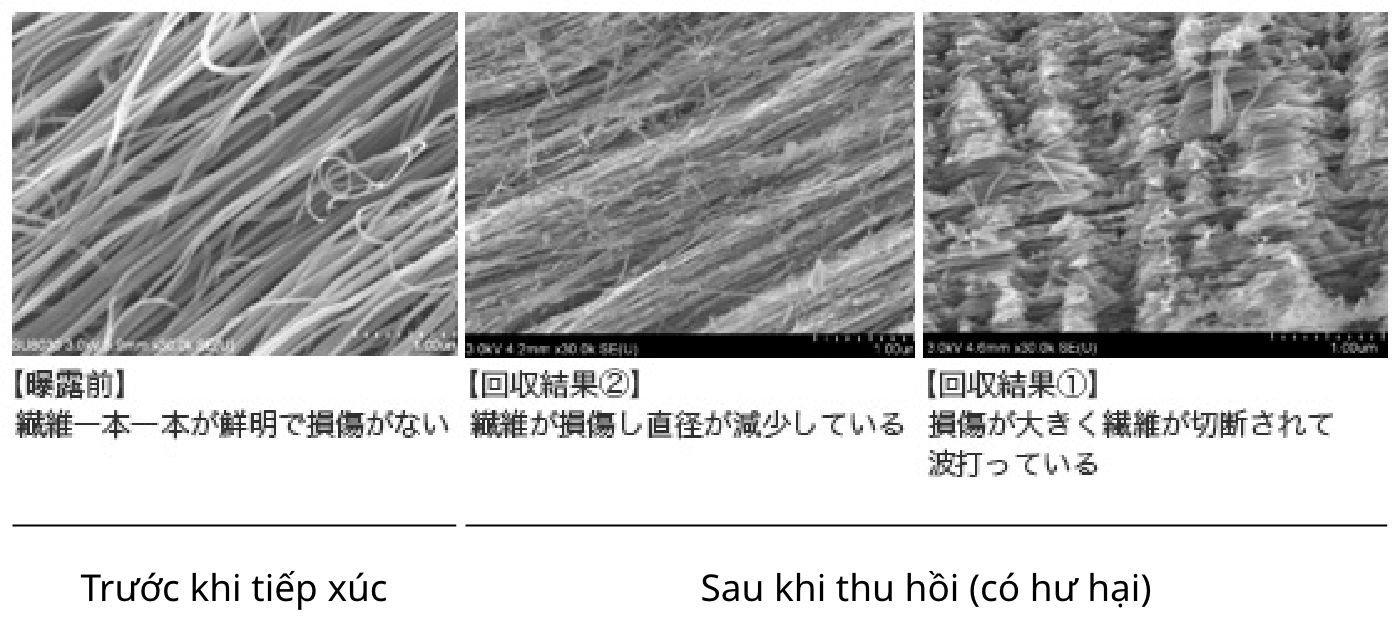 Hình ảnh vết hư hại trên ống nano carbon