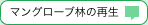 マングローブ林の再生