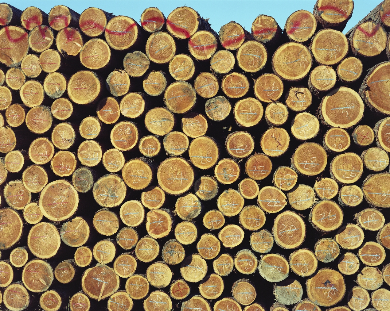 岩手県奥州市 2018年