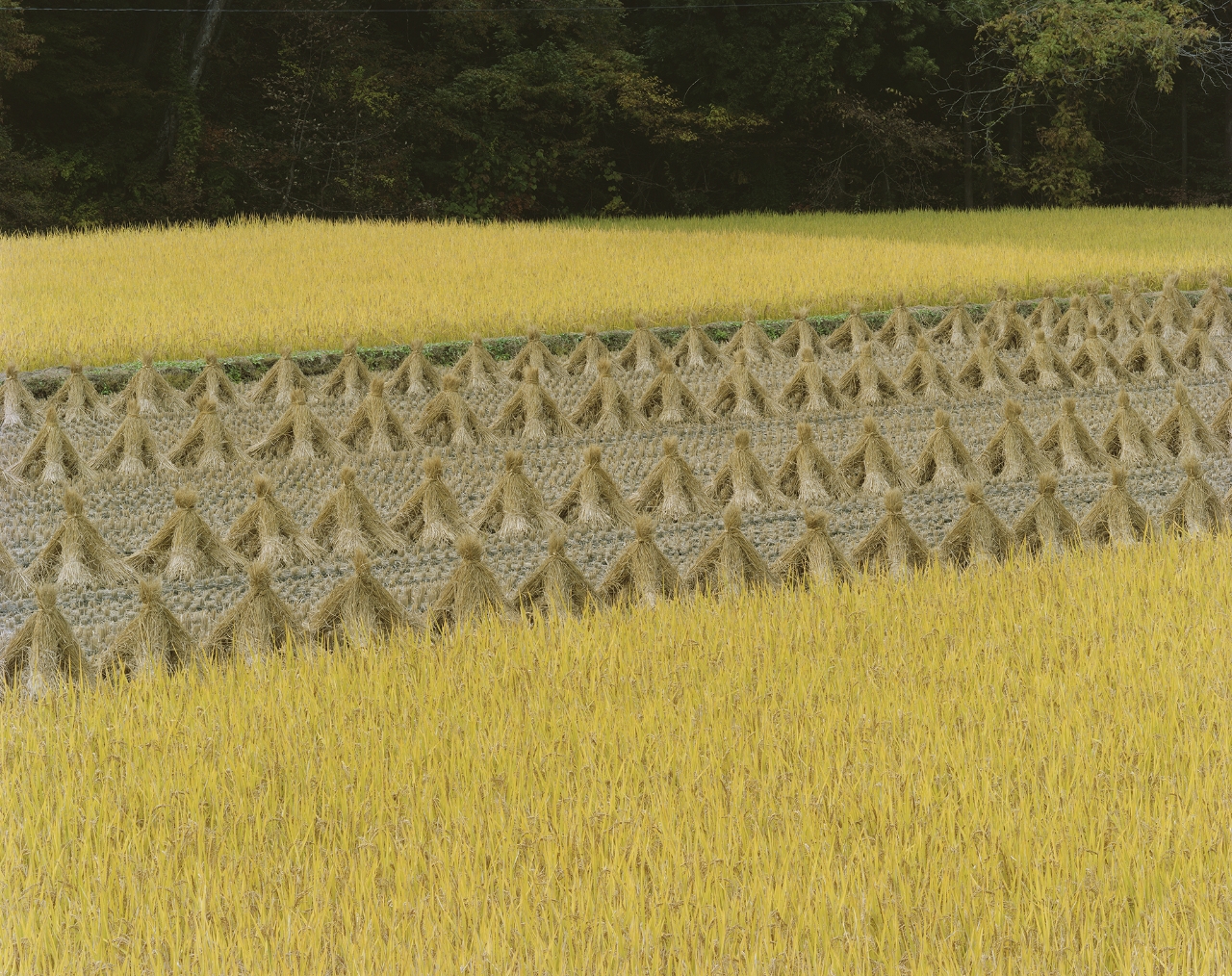 岩手県九戸郡軽米町 2018年