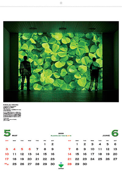 5・6月／ニコライ・レッケ／Looking for 4 leaf Clovers（四ツ葉のクローバーを探して）／1998