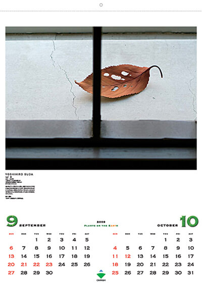9・10月／須田悦弘／leaf（葉）／2007