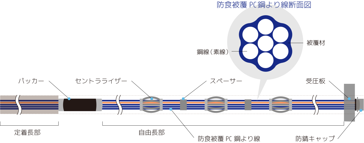 アンカー標準構造図イラスト