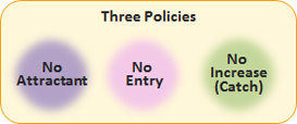 Three Policies