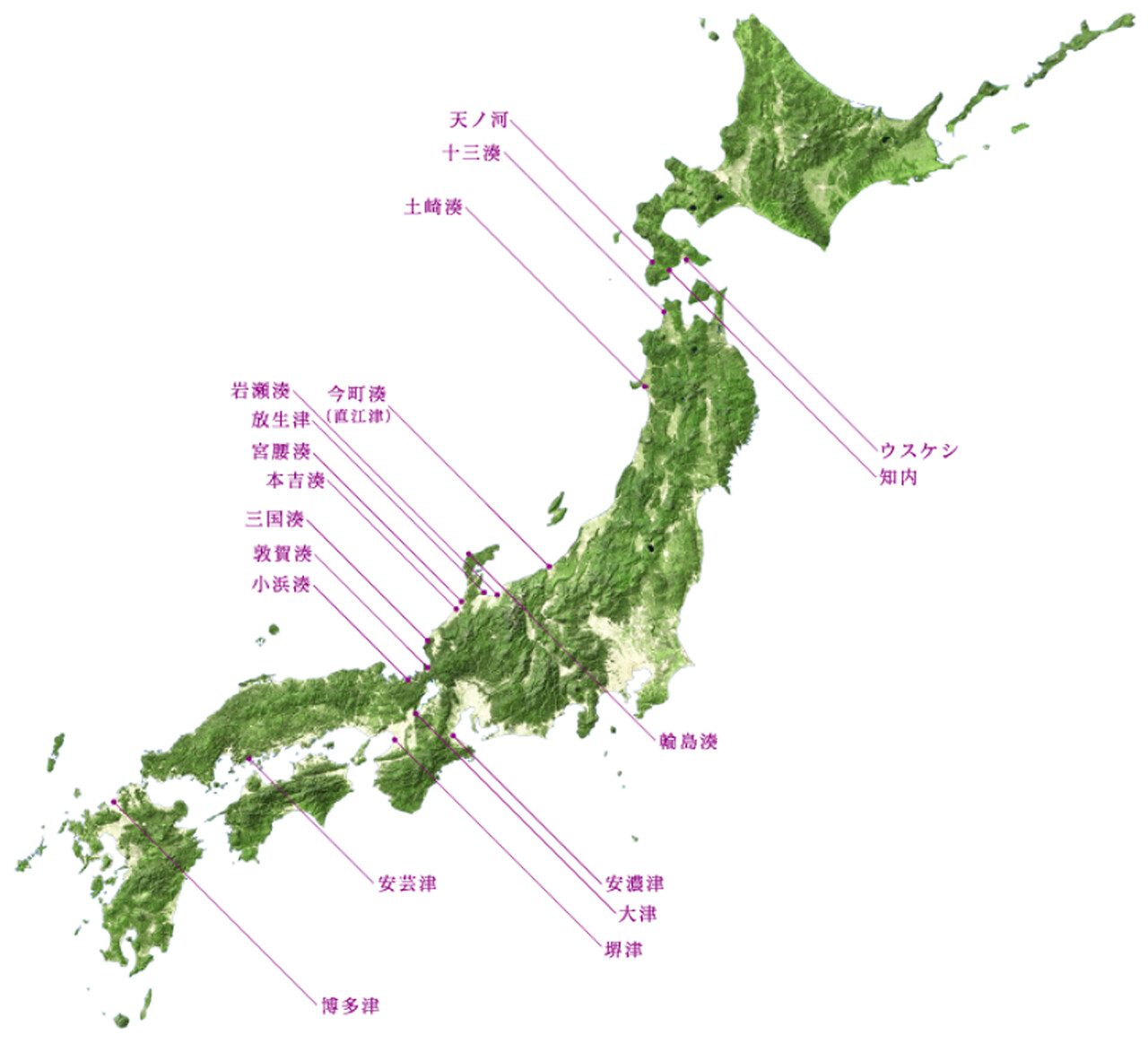 北から生まれた中世日本|人文、社会 北から生まれた中世日本|人文、社会