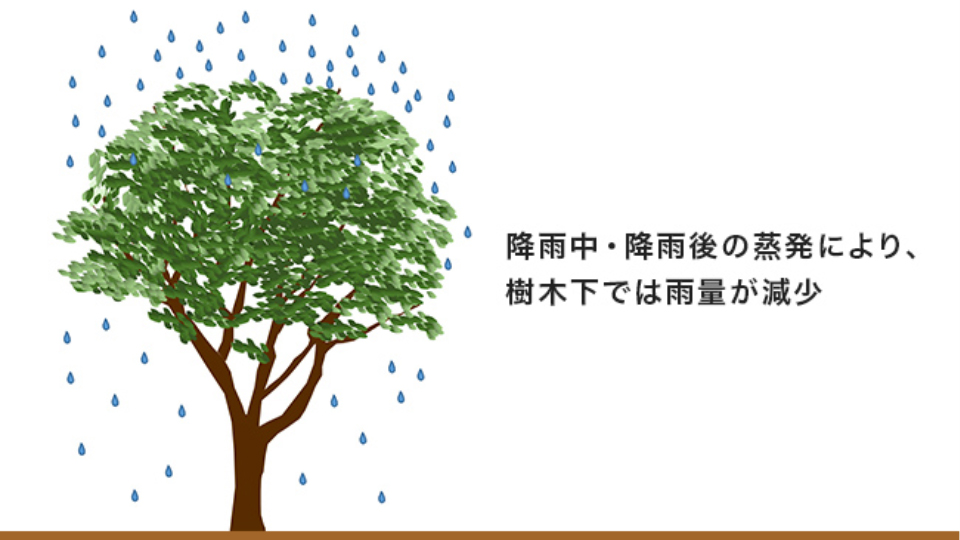 降雨中・降雨後の蒸発により、樹木下では雨量が減少