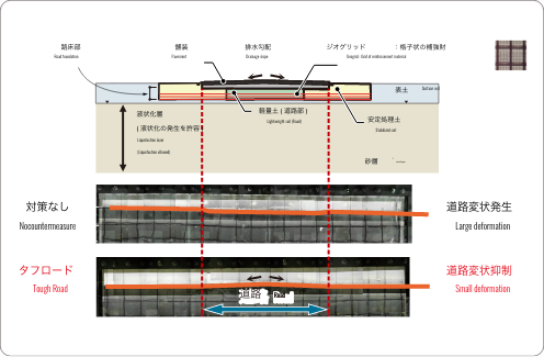 実験例