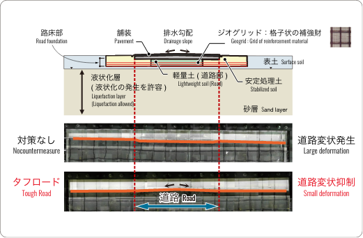 実験例