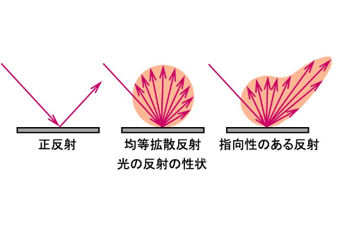 実験例