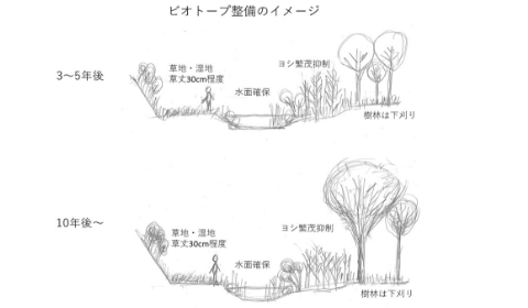 関連技術画像