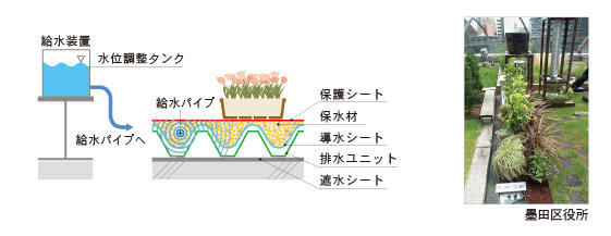 墨田区役所