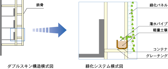 ダブルスキン構造/緑化システム模式図