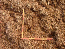 伐採材チップ（堆肥または緑化用土として利用）