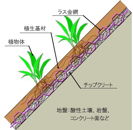 全面緑化