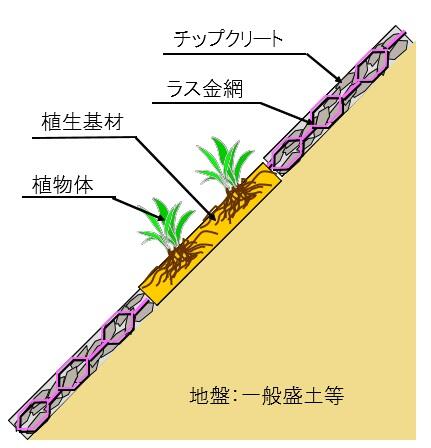 緑化範囲限定