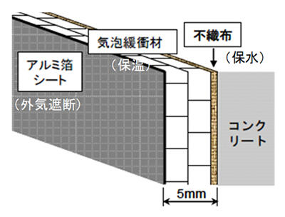 模式図