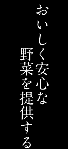 アクティブライフデザイン03 おいしく安心な野菜を提供する