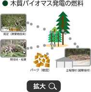 木質バイオマス発電の燃料