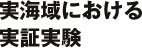 実海域における実証実験