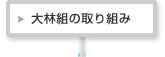 大林組の取り組み