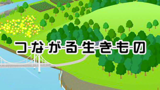 つながる生きもの