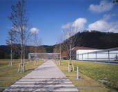 島根県立古代出雲歴史博物館