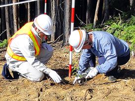 第二東名高速道路の建設地で地域住民の皆さんとヤマザクラを植樹