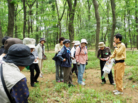 大林組  自然保護団体とキンランの観察会を実施