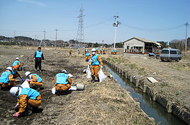 新入社員の災害支援ボランティア