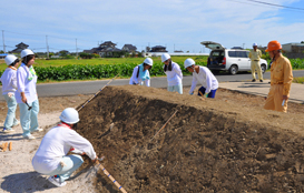 桂高校への技術支援は、ノシバを利用した節水型の屋上緑化や美術館への植栽なども行っています