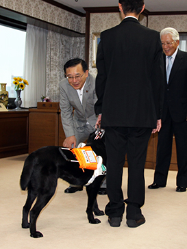 盲導犬に声をかける大臣