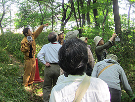 雑木林では東京都レッドリストに記載されているウラナミアカシジミ（シジミチョウ科）、アカゲラ（キツツキ科）も見られます