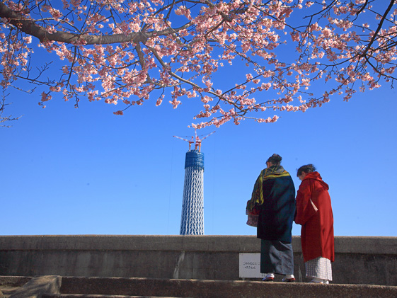 東京スカイツリー