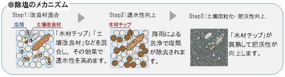 木材チップ塩成土壌改良工法の概念図