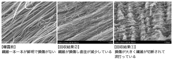 CNTの損傷の様子