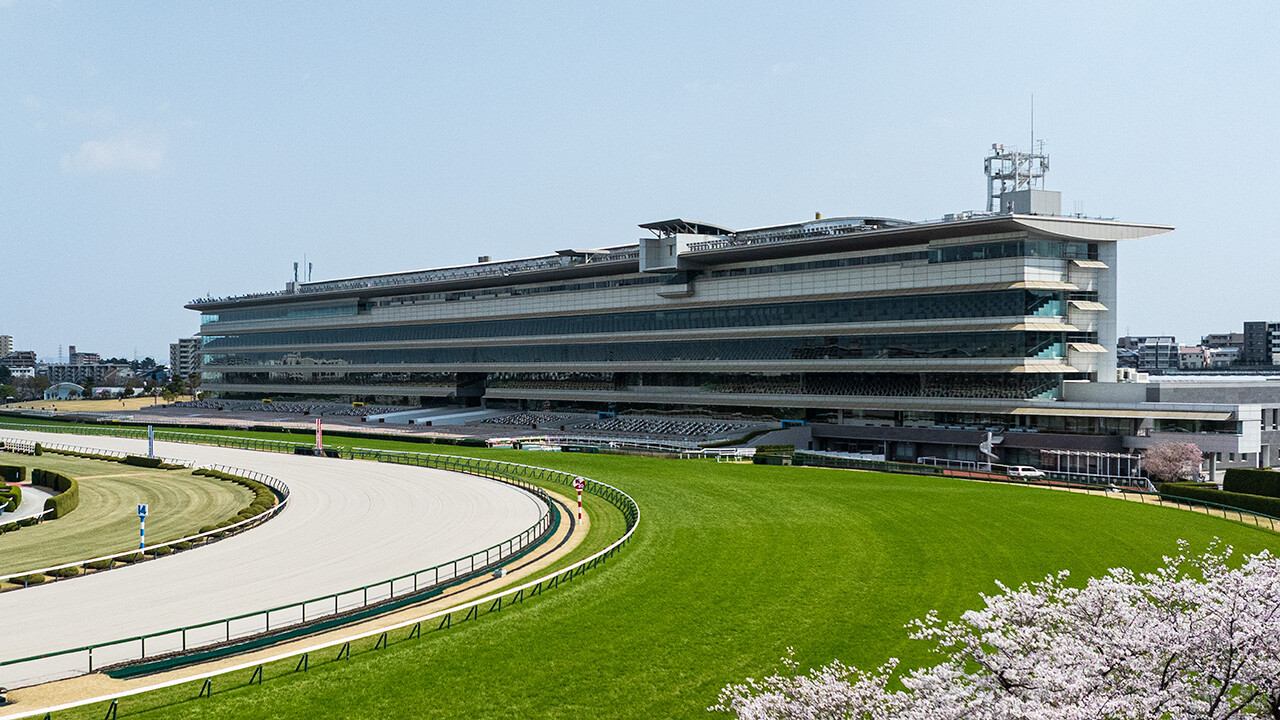 日本中央競馬会 阪神競馬場 改修工事 | 実績｜大林組